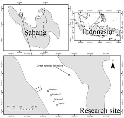 In-situ electro-stimulation enhanced branching but not massive scleractinian coral growth